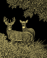 deer hunting decor