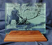etched glass on walnut stand